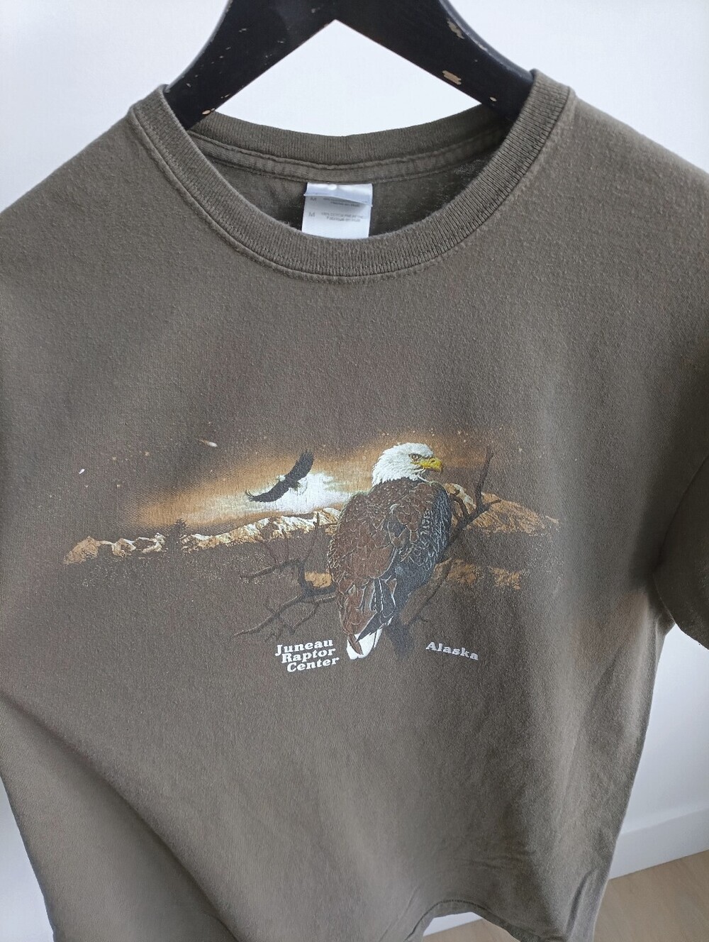 Vintage Y2K Alaska Juneau Raptor Center Eagle Tee Medium Gildan Brown T-Shirt
